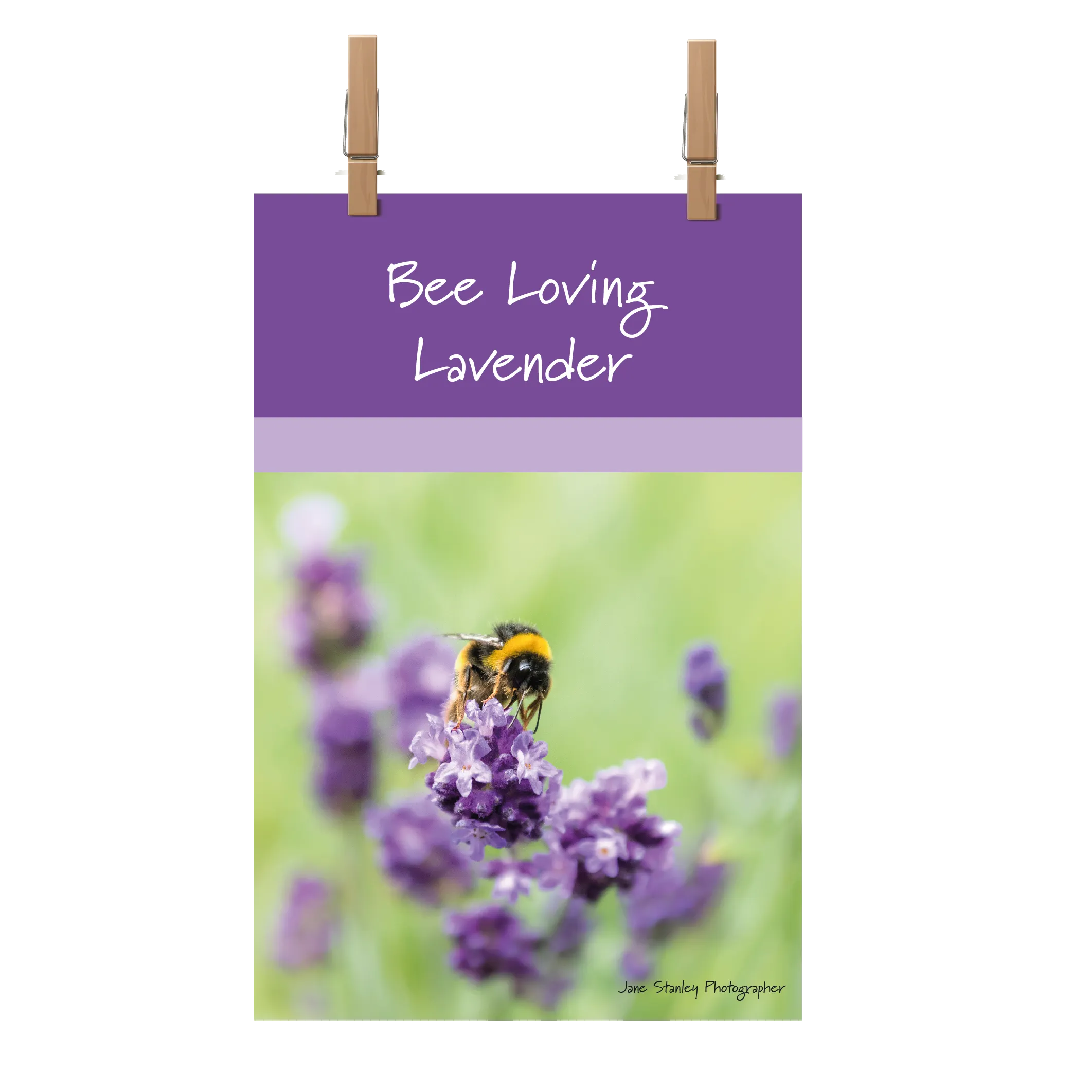 Bee Loving Lavender Tea Towel