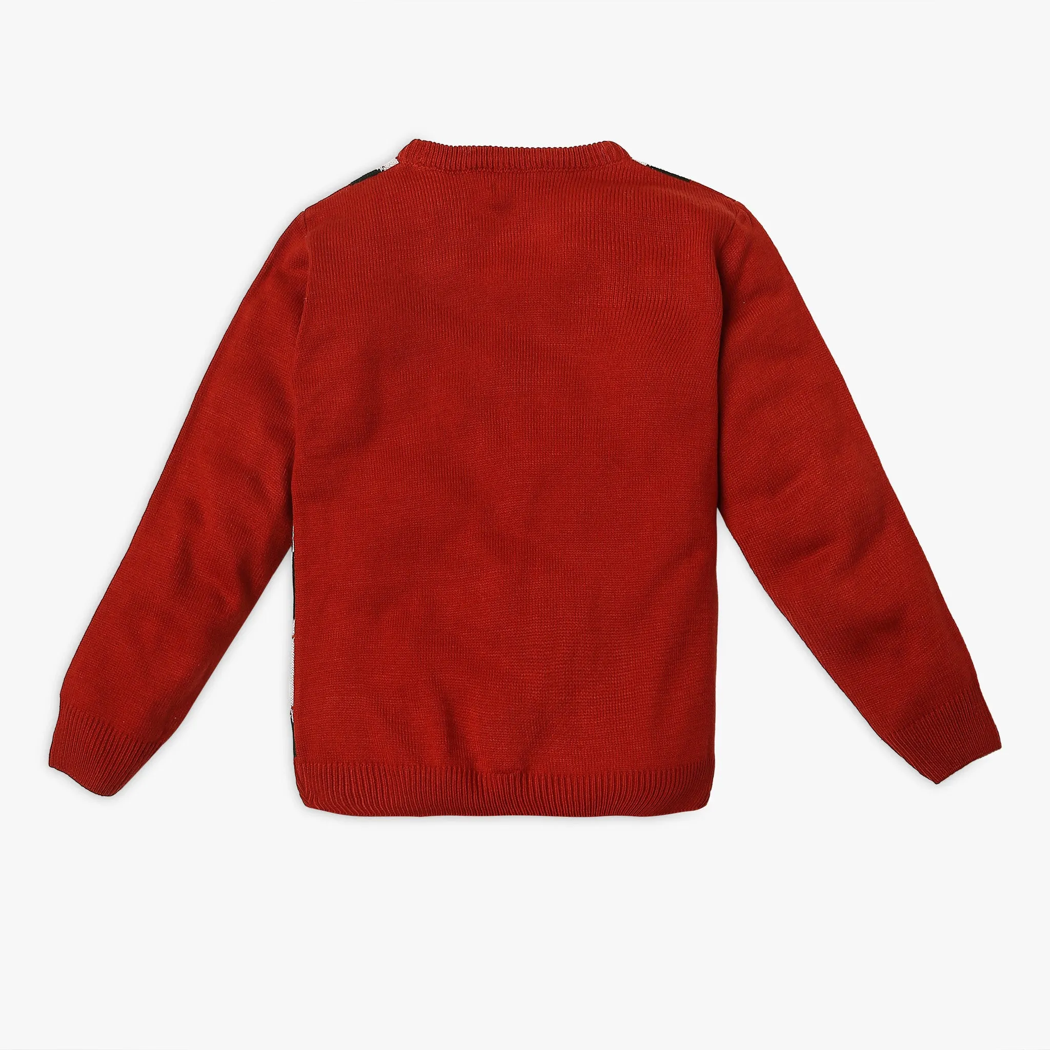 Boy's Regular Fit Jacquard Sweater