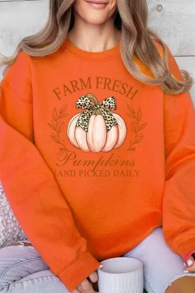 Farm Fresh Pumpkins! Crewneck