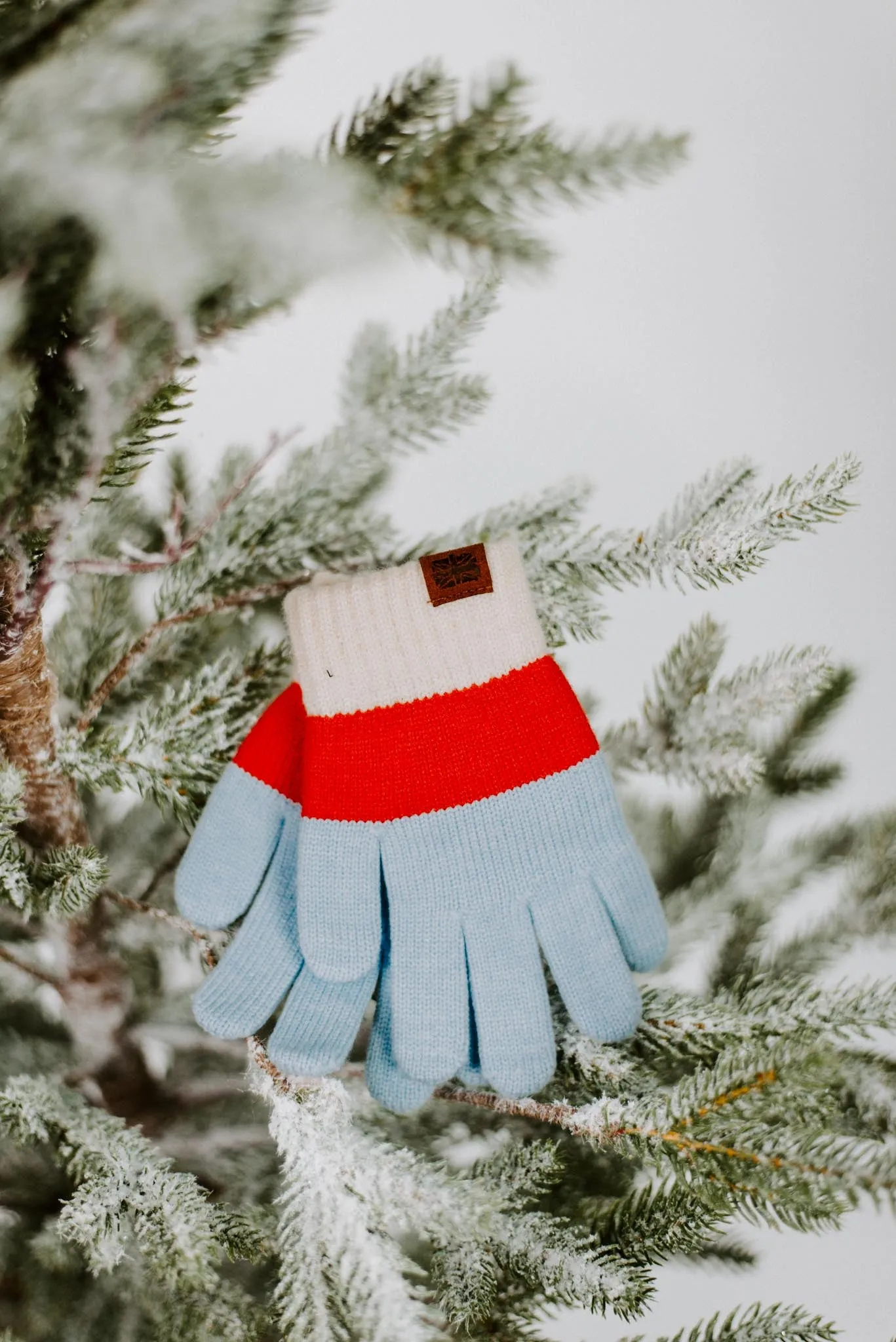 Wonderland Color Block Kids Gloves