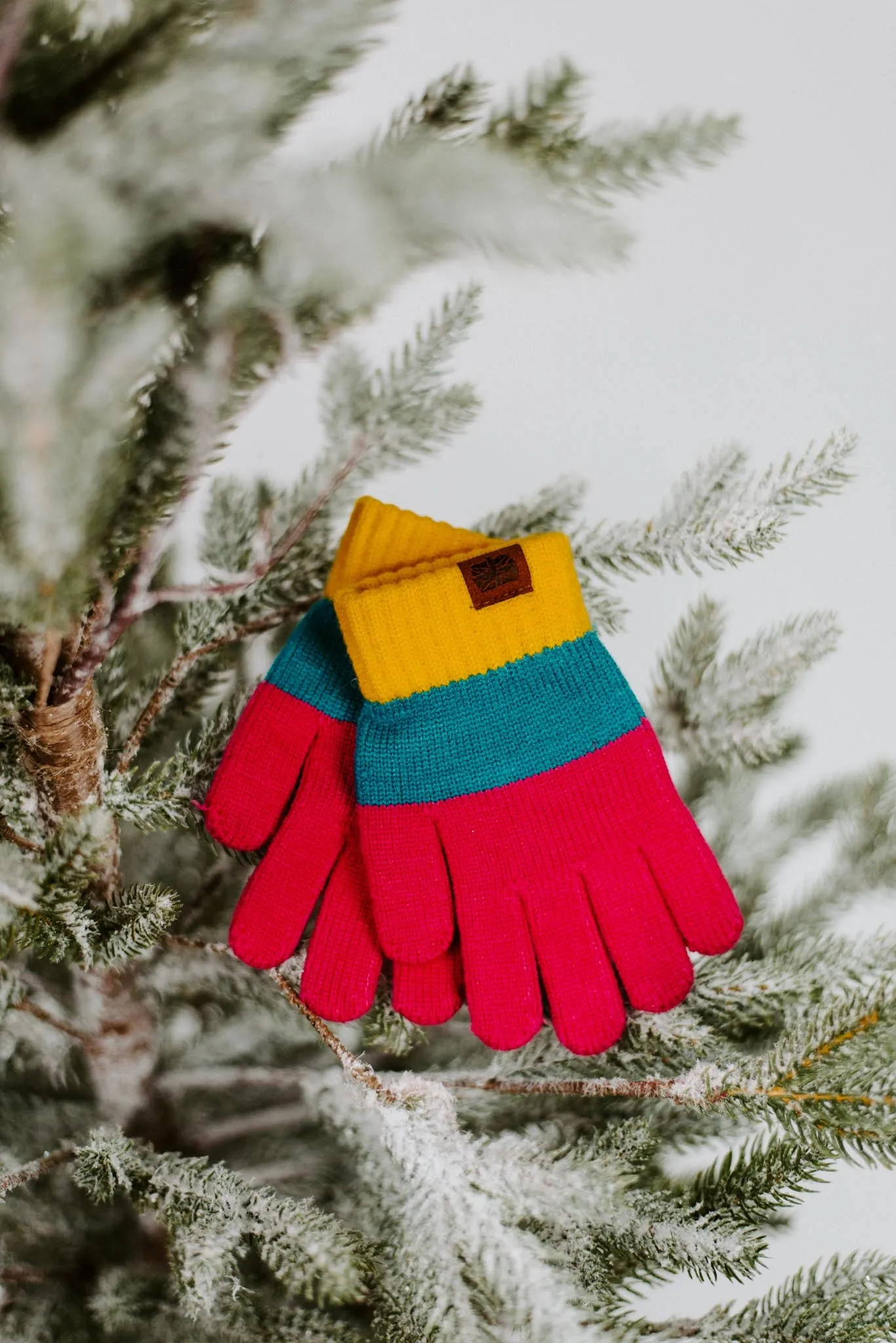 Wonderland Color Block Kids Gloves